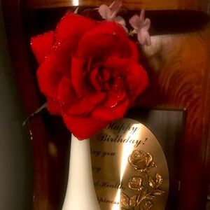 Meet your Posher, Haline